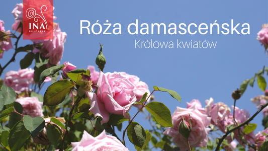 Oto dlaczego chcesz mieć płynne ZŁOTO w swoich produktach do pielęgnacji skóry i włosów – Królowa wśród Kwiatów od InaEssentials