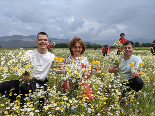 Egzema i jak mała rodzinna marka rozwiązała ten problem za pomocą produktu organicznego