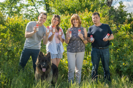 Jak marka rodzinna stworzyła Naturalne rozwiązanie na krwawiące dziąsła i nieświeży oddech dzięki temu magicznemu ziołu.