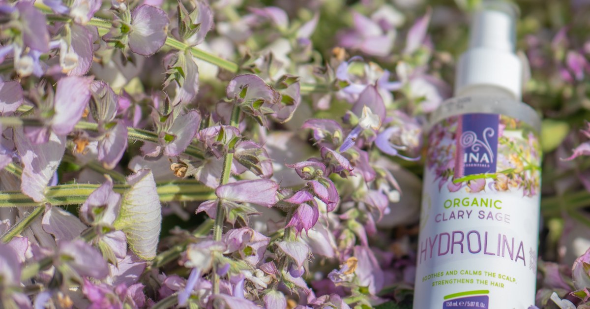 Szałwia muszkatołowa Salvia sclarea i Organiczna woda Szałwiowa Hydrolina